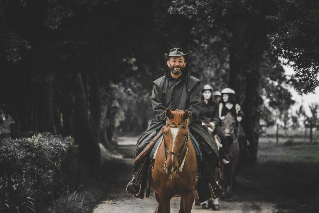 Glamping In Toscana, Luxury Tents In Agriturismo Biologico Sorano  Bagian luar foto